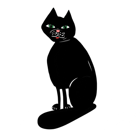Evamirror giphyupload blackcat chatnoir gatonegro GIF
