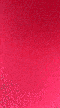 Hazbinhotel Hazbin GIF by Youtooz