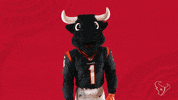 Tired Nfl GIF by Houston Texans