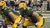 north dakota state football GIF by NDSU Athletics