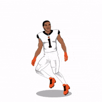 Cincinnati Bengals Football GIF by Panini America