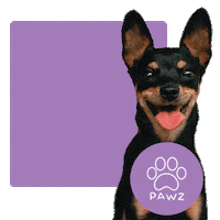 Awesome Dog Sticker by Pawz