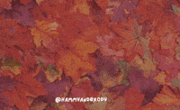 Dog Fall GIF by HammyandBrody
