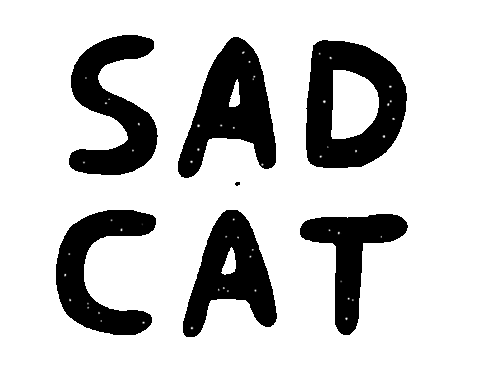 wonderyash giphyupload sad sad cat wonderyash Sticker
