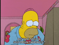 homer simpson GIF
