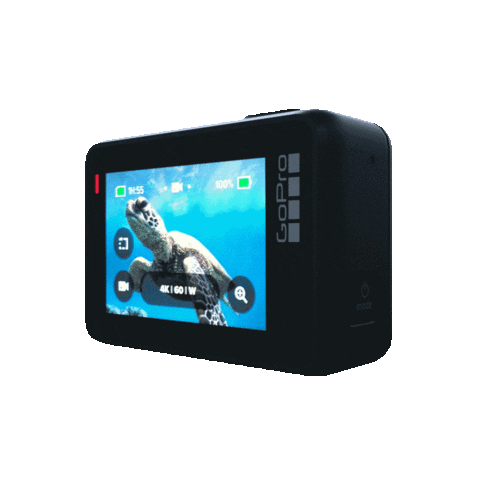 Sport Go Sticker by Arata