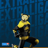 Hockey Hokej GIF by Tipsport extraliga