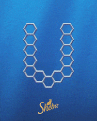 Letter Alphabet GIF by Sheba Official