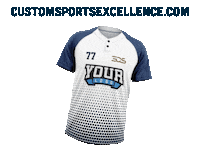 sportsexcellence design baseball hockey creative Sticker