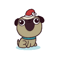 soyyosh pug perritos salchicha grumpycat Sticker