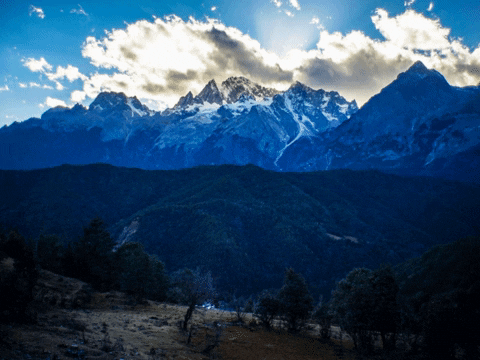 You Can Wow GIF by FranchiseONE.de