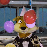Celebration GIF by Université de Sherbrooke