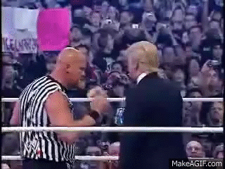 stone cold steve austin GIF
