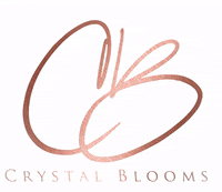 Crystalbloomsgt weddingdestination crystalbloomsgt crystalbloomsguatemala guatemalaweddings GIF