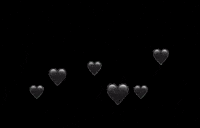 Thesocialbeans love black hearts crown GIF