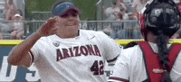 Florida State Arizona GIF by NCAA Championships