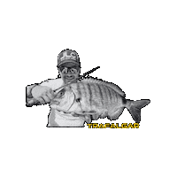 Trafalgar Sticker by JLC LURES