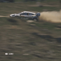 Ford Motorsport GIF by FIA World Rally Championship