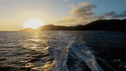 kaitlyncurlz giphygifmaker married at first sight GIF