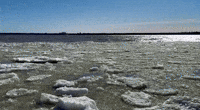 'Hypnotic': Chunks of Ice Float Along Ottawa River as Wintry Conditions Continue