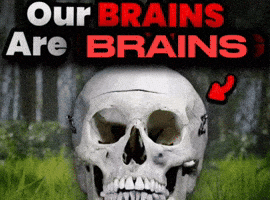 Our Brains Are Shrinking GIF