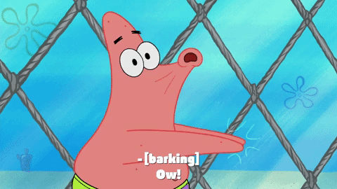 season 9 episode 26 GIF by SpongeBob SquarePants