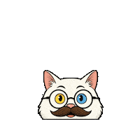 Happy Cat Sticker by vankedisi