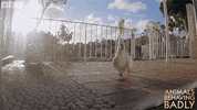 feeling myself mirror GIF by BBC