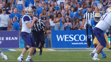 Ucla Football GIF by Pac-12 Network