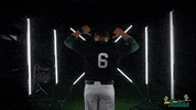 Tulane Rollwave GIF by GreenWave