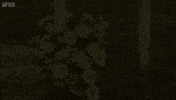 Trailer Park Boys GIF by hero0fwar