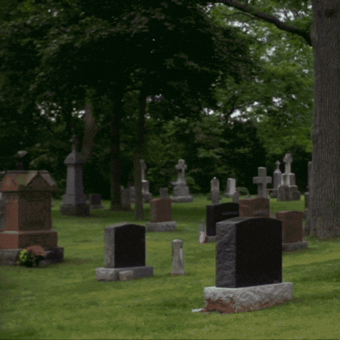 Dying Rest In Peace GIF by Blake Lively Fan