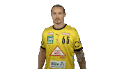Handball-Bundesliga Handball Sticker by LIQUI MOLY HBL