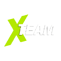 xbilsuomi x xteam xtiimi xbil Sticker