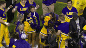 Ncaa Sports Sport GIF by SEC Network