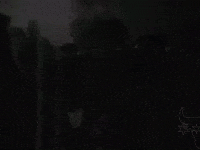 Raqworld rw raqworld smallwarhorse lqur GIF