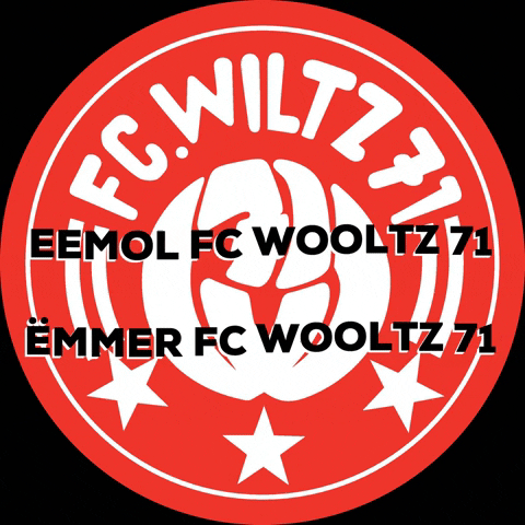 fcwooltz71 giphyupload logo fcwiltz71 GIF