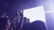 ericdew dj edm juelz ericdew GIF