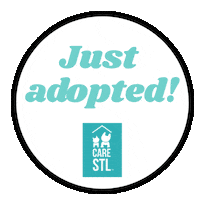 carestl icarestl carestl justadopted Sticker