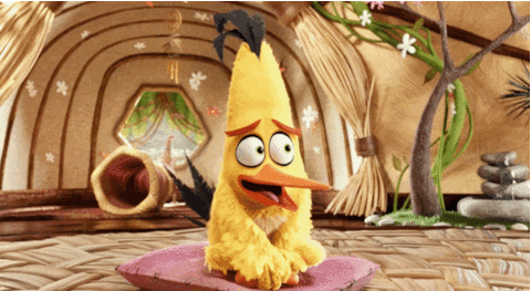 the angry birds movie chuck GIF by Angry Birds