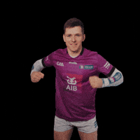 All-Ireland Camogie GIF by AIB