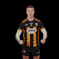 All-Ireland GIF by AIB