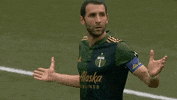 Portland Timbers What GIF by Major League Soccer