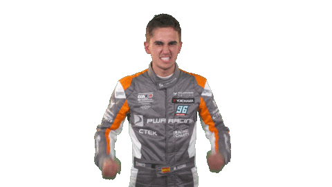 touring car yes Sticker by FIA WTCR