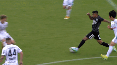 Football Soccer GIF by SK Sturm Graz