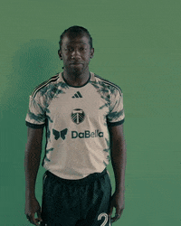 Portland Timbers Sport GIF by Timbers