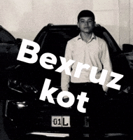 Kot GIF