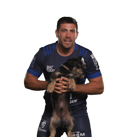 ColomiersRugby giphyupload colomiersrugby Sticker