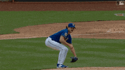 Celebrate Major League Baseball GIF by New York Mets