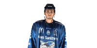 Hockey Louis Sticker by Les Rapaces de Gap